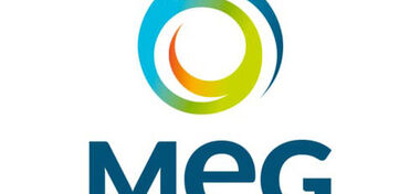 MEG